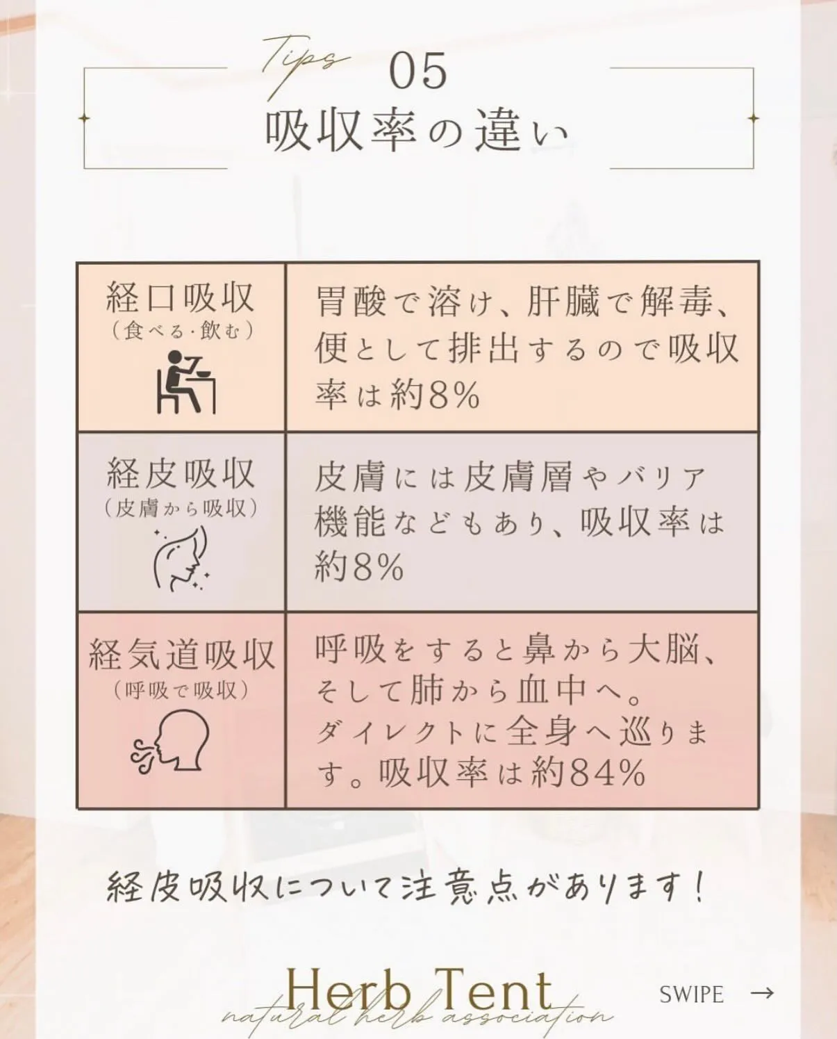 🌿「ハーブテント」と「よもぎ蒸し」って何が違うの？🌿