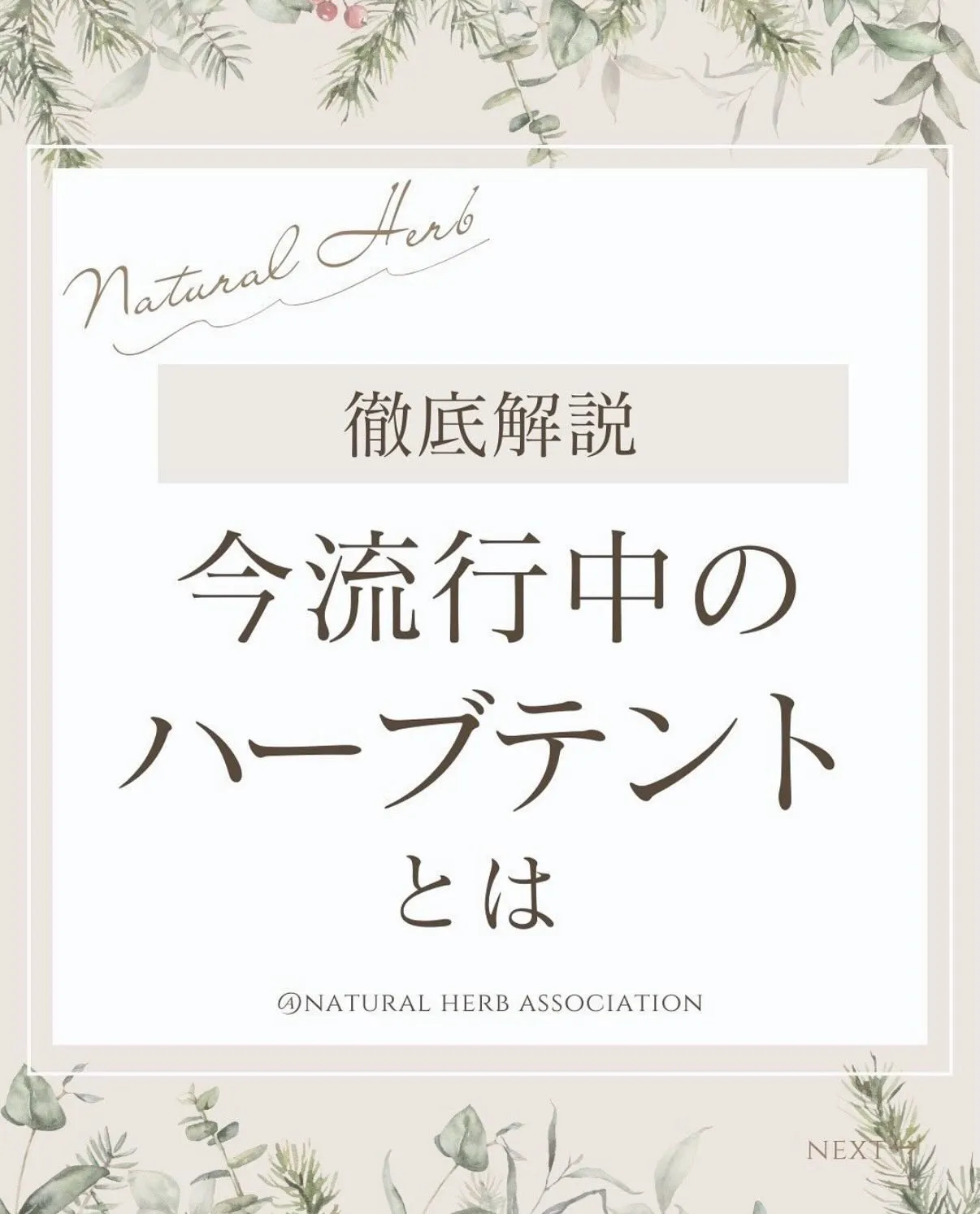 「ハーブテントって何？」