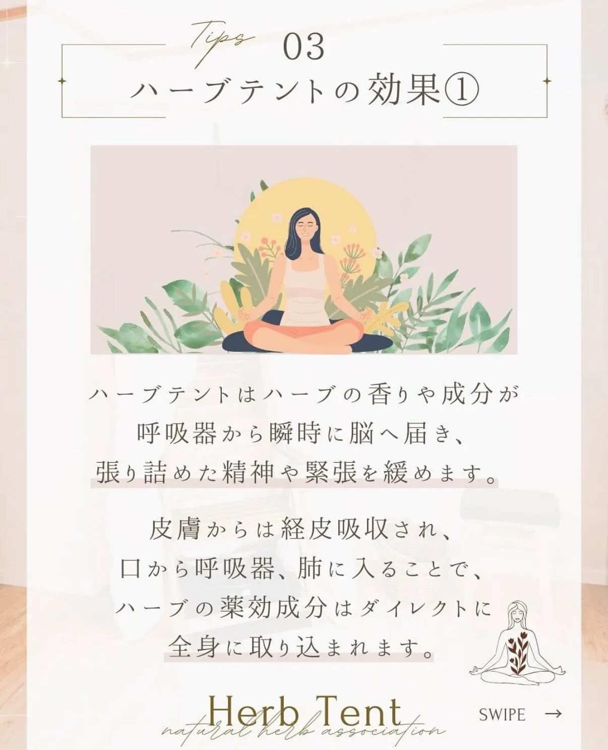 「ハーブテントって何？」