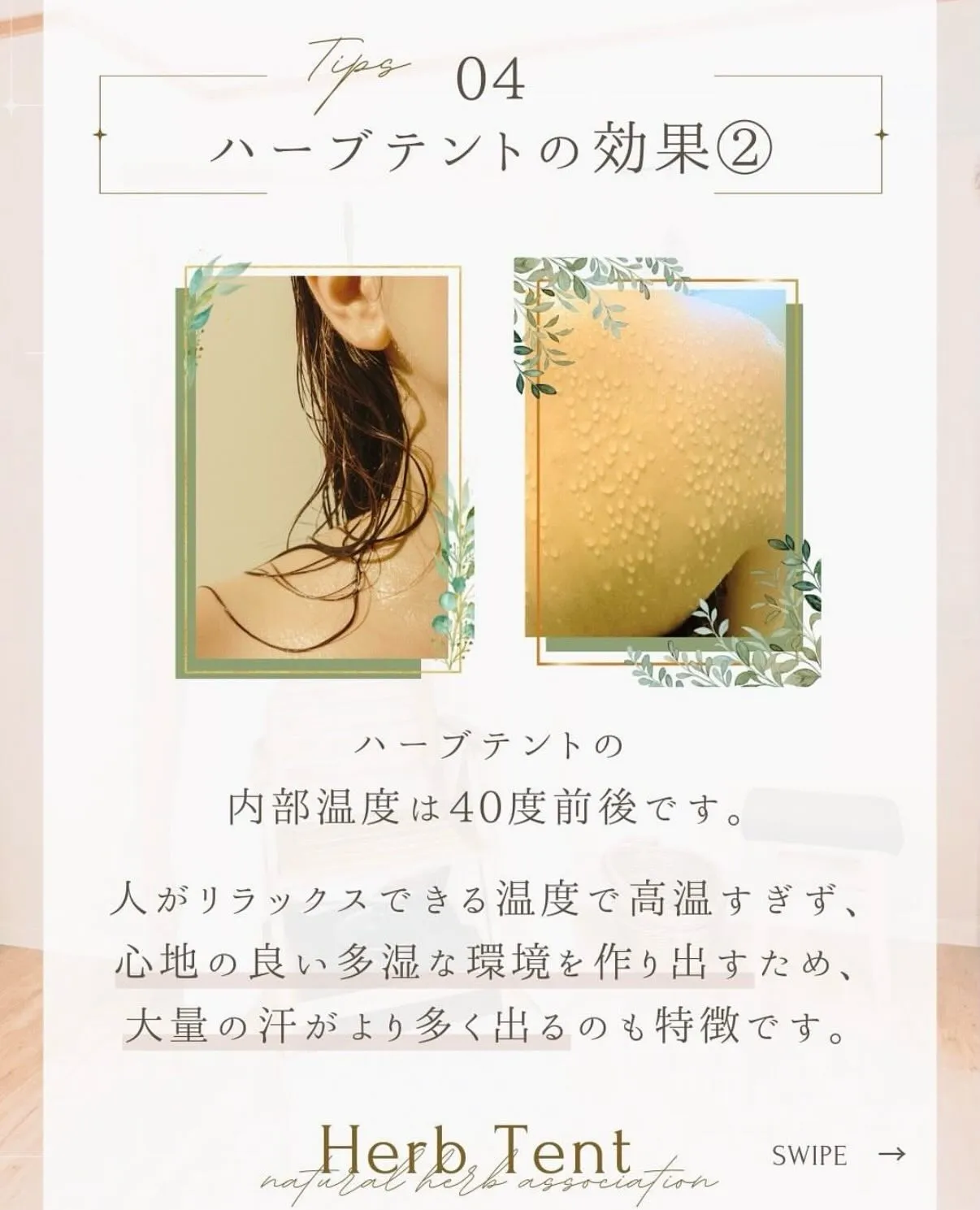 「ハーブテントって何？」