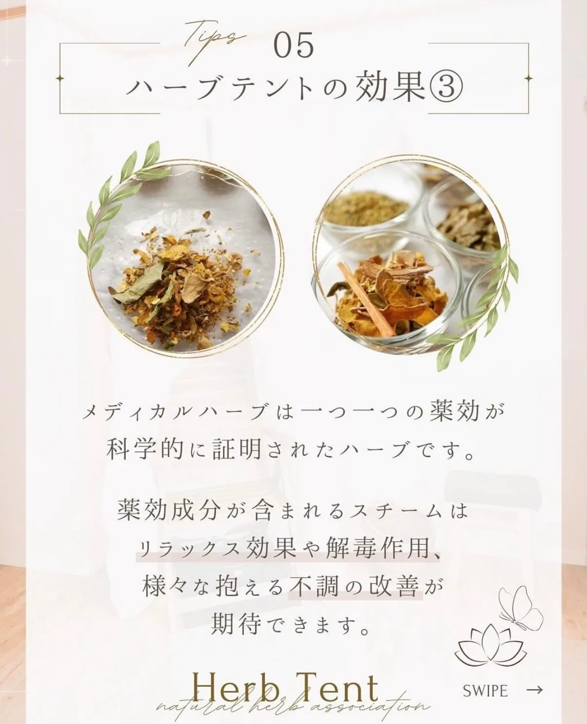 「ハーブテントって何？」