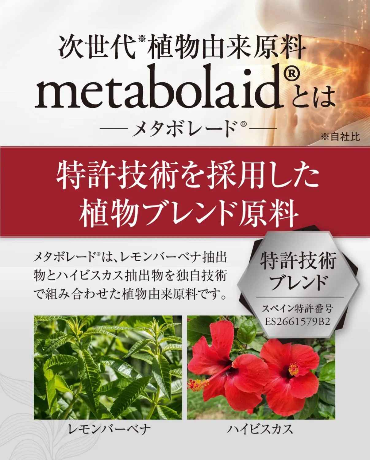 もう我慢するダイエット、やめませんか?