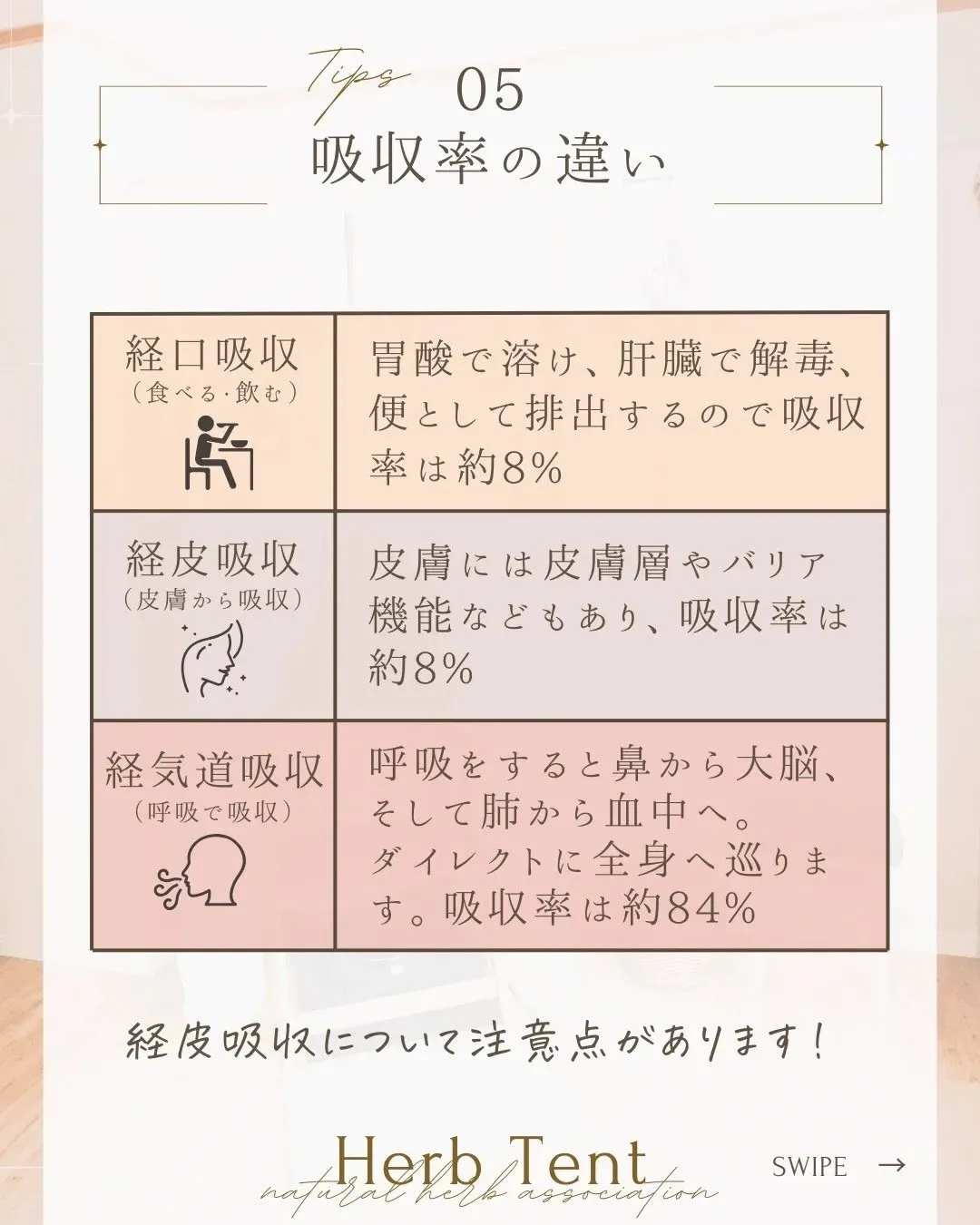 🌿ハーブテントとよもぎ蒸しの違い🌿